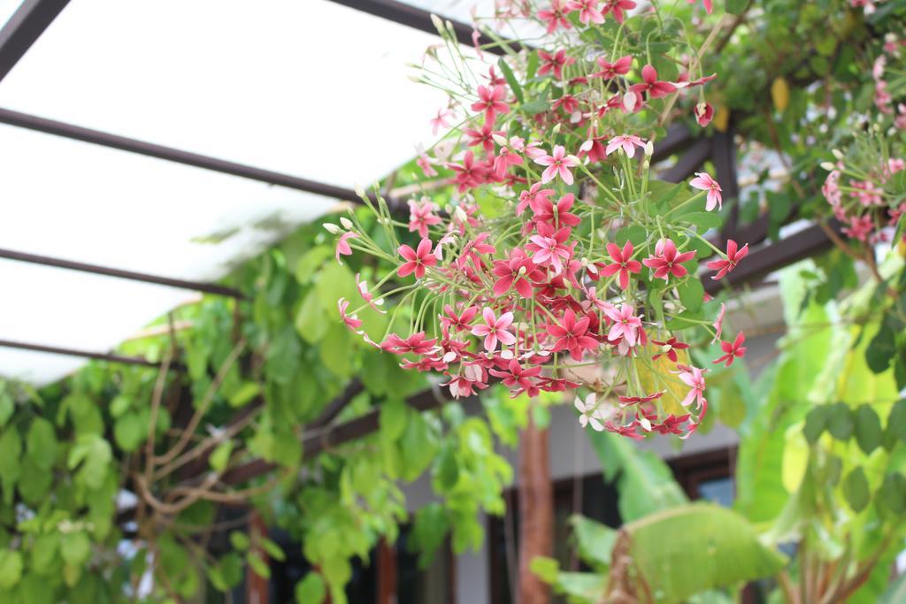 Phatong Residence Bophut Luaran gambar